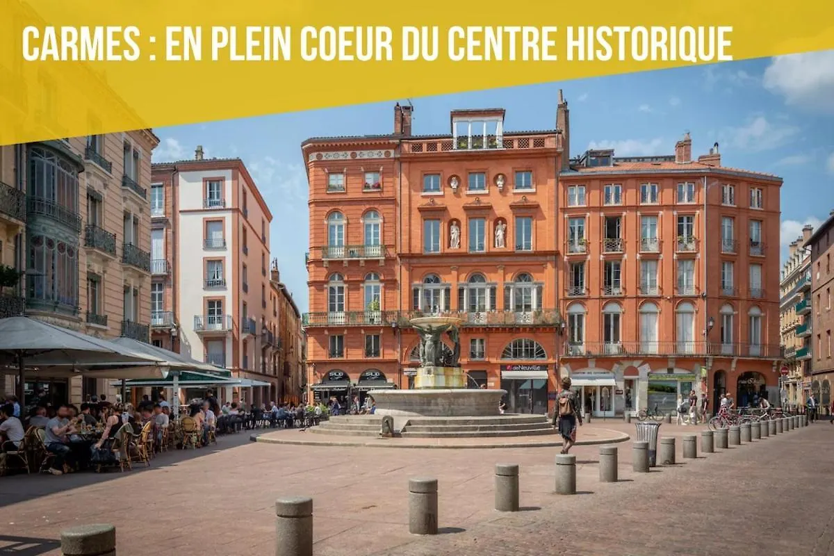 Apartment Le Paradoux - Luxe & Brique Au Coeur De Toulouse
